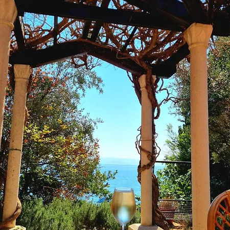 Bella Vista House Apartments, Hot Pool And Jacuzzi